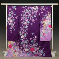 紫 牡丹地紋 野桜吹雪